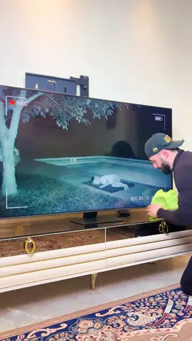 #blackfridayentiktokshop #catrinachallengetiktokshop #buenfinentiktokshop 