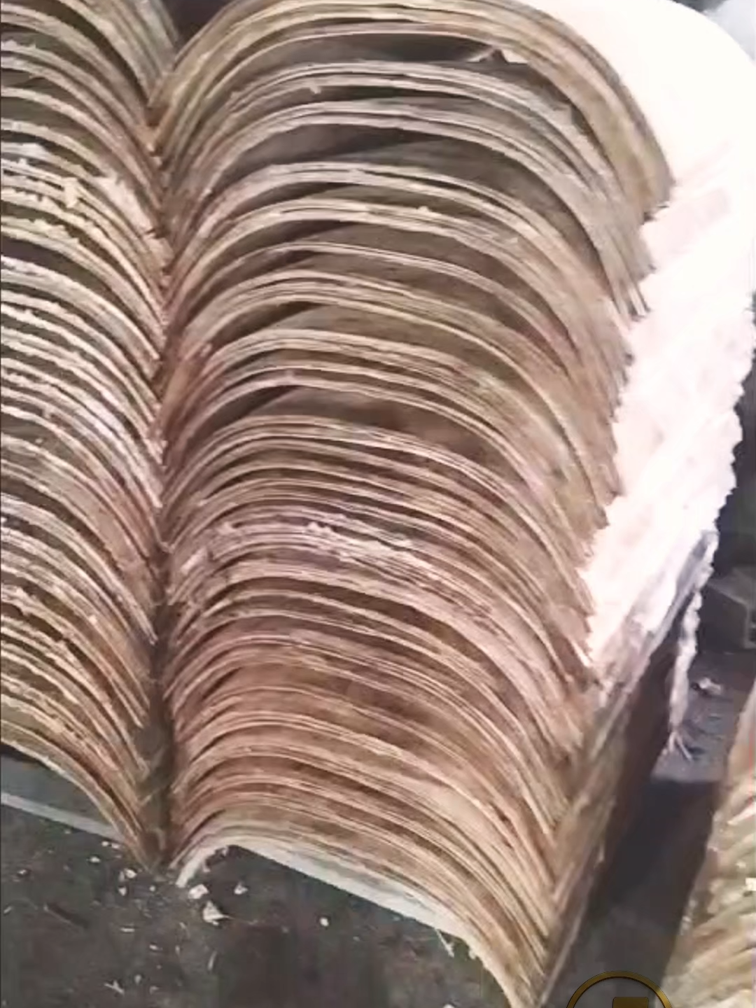 Ván ép cong từ khuôn mẫu #HungMinhPhat #GheTuaLung #GheBocNem #VanEpCong #XuongNoiThat #GheCafeDep #GheAnDep #GheHocSinh #noithatgiaxuong #NoiThatHungMinhPhat #GheEpCong #VanEpDinhHinh #ghecafeunghoenha #GheXuatKhau #NoiThatGiaXuong