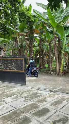 Siap antar/kirim bisa cod #berandafyp #fizr #ninjass #gl100indonesia #cbindonesia 