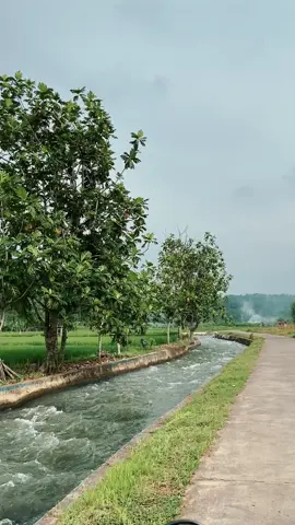 Deket rumah tapi jarang banget kesini 🫠#fyp #pandansari #deswitapandansari #batang 