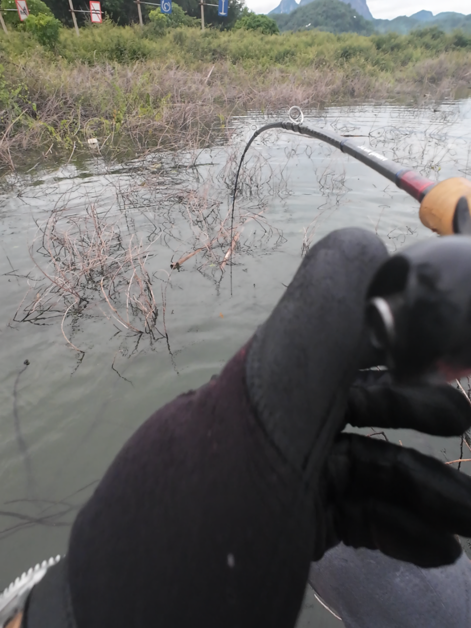 PANIK GAK?! #mancing #castingtoman #jatiluhur #fishing #shimano 