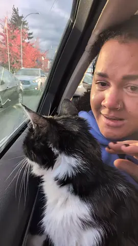 Today I rocked my boy to sleep for the last time. 💔 I whispered in his ear what a good boy he was, I told him how much he's loved, I gave him kisses  and I thanked him for loving me unconditionally for almost 20 years. He was the best cat ever, right up there with he predeceased sister. 🐾🪽 It was by far the hardest act of kindness I have ever had to do, and my heart is missing another small piece.  😓 Good bye my sweet boy, and I love you so much. All my love, and a piece of my heart are with you. ❤️ Mackenzie- November 10th 2025 #petloss  #loveyouforever  #rip 