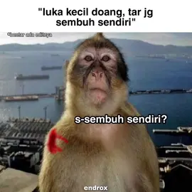 sembuh sendiri? #song #sembuhkembali #meme #lyrics 