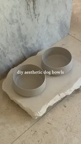 let’s upgrade these dog bowls to go along with their upgraded diet 🐕✨  I love The Daily by @Native Pet and so do the dogs!! #NativePetPartner #NativePet #ad #dogbowl #DIYproject 