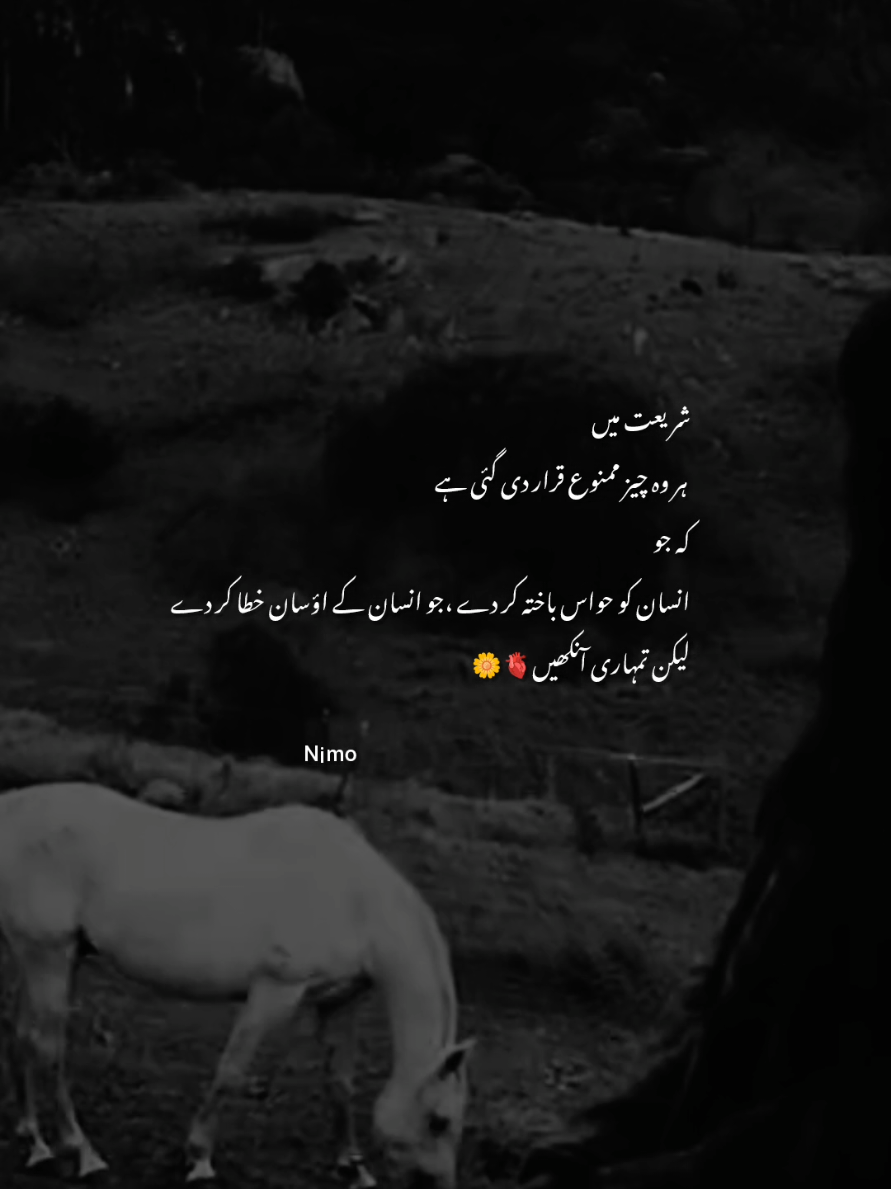 🫀#Nimo #shayari #urdushayari #unfreezemyacount #viewsproblem 