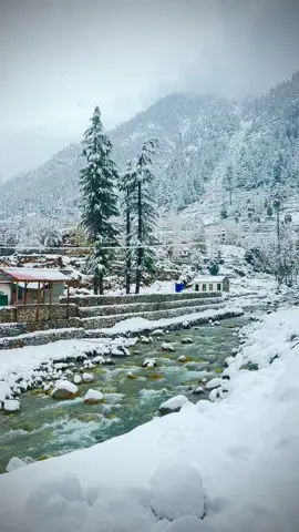برف باری کے بعد پلوگا ویلی کا خوبصورت منظر۔۔ اگر اپ لوگ بھی اس طرح کے خوبصورت مناظر دیکھنا چاہتے ہیں تو ضرور ہمیں خدمت کا موقع دیں۔۔ #kalam #explore #tourism #nature #kalamibashinda 