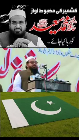 #creatorsearchinsights #unfreezemyaccount #pmmlsocialmedia #foryou #foryoupage #fyp 