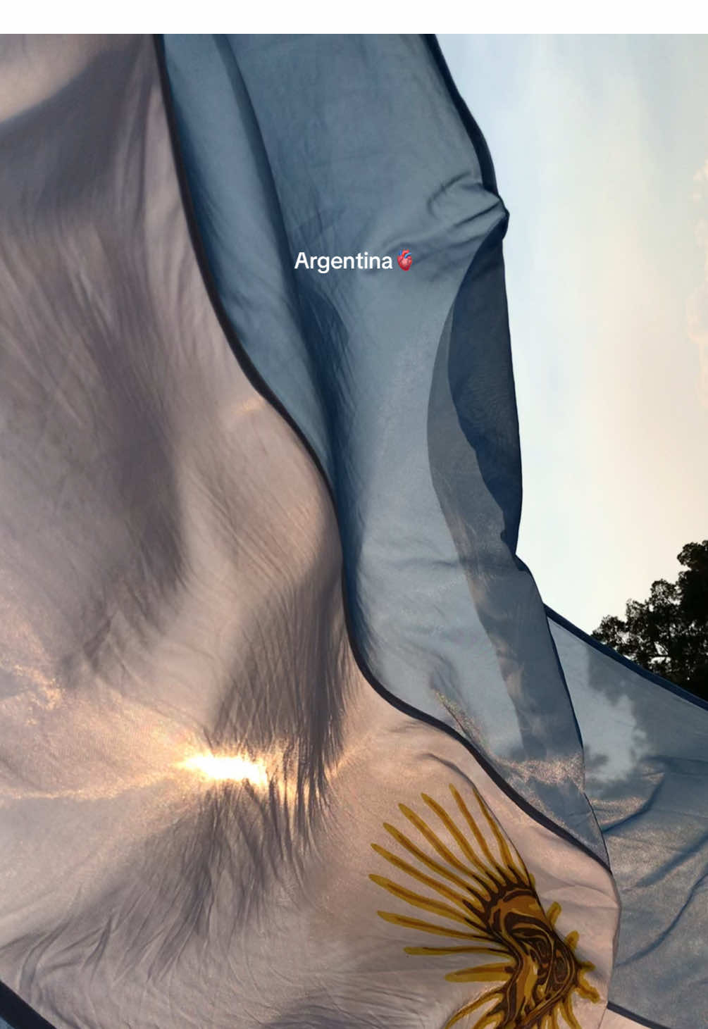 🥹🇦🇷 Mi país, el mejor del mundo (me emocioné) #argentina #fyp #parati 