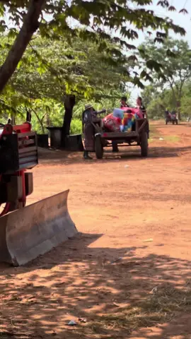 ជម្លៀស​ប្រជាជន​ចេញ​ពី​ព្រំដែន​ទៀត​ហើយ​ 11.11.2025