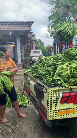 Join live sekarang juga kaka🥰🥰      #petepadiwonogiri #fyp #pete #petewonogiri 