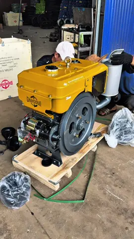 MÀU GOLD MÀU MAY MẮN #ctytnhhnguyenhanhtaynguyen #nguyenhanh #nguyenhanhchangchai #nguyenhanhtaynguyen #changchai 