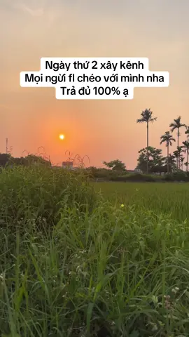 Mọi người giúp em đủ 1000 fl với ạ,trả đủ 100% nhaa#taplamtiktok #ngaydauxaykenh #tuongtac #flcheo #xuhuong 