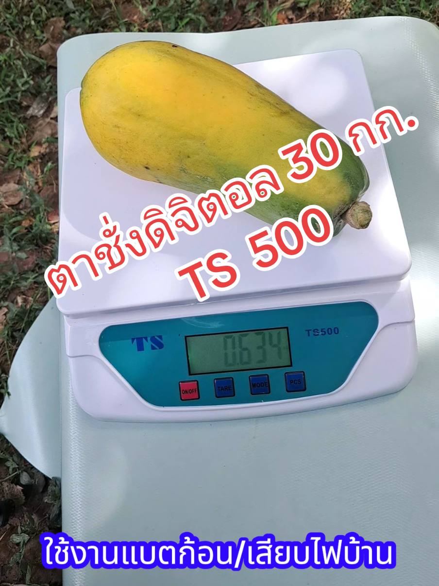 ตาชั่งดิจิตอล 30 กก.  TS 500 แม่นยำเป๊ะ  ตั้งค่าได้หลากหลาย ใช้งานแบตก้อน หรือเสียบไฟบ้าน ก็ได้  🤩ราคาดีด้วยนะเออ  #ตาชั่งอาหาร  #ตาชั่งดิจิตอล #ตาชั่ง30กก. #ตาชั่งแม่นยำ #ของใช้ดีบอกต่อ 