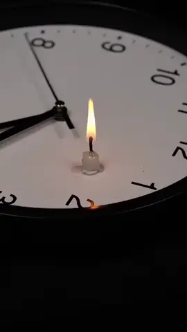 مهما طال الانتظار ياقلب فاصمد٠٠٠!؟ ياتيك من ارض بلقيس هدهد .