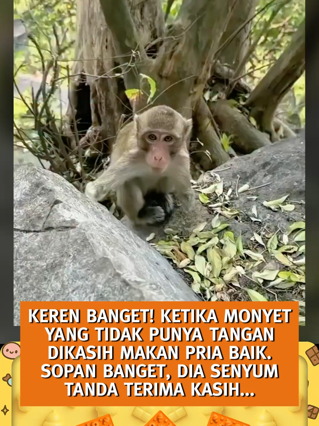 Sopan banget. terharu liatnya - SpeedCash sc: nada_rimba #berita #info #fyp #ForYou #speedcash