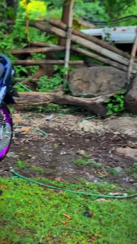 Đọc thêm😂#wave110 #wavedokieng❤️ #fyp #anhbe🐉✈️ 