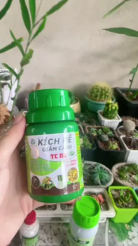 Quá chừng rễ rồi #kichre #phanbon #phanbonhuuco #bungdot 