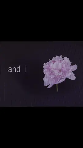 Nobody - Mitski #mitski #music #songlyrics #fyp #xyzbca 