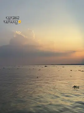 বাংলাদেশ ছাত্রলীগ ✊#bangladesh🇧🇩 #fypシ゚ #fyppppppppppppppppppppppp #trending #joybangla @TikTok Bangladesh @For You 