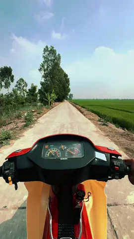 Thời cuộc này có mấy ai thân nhau#xuhuongtiktok #nhactamtrang #tamtrang #xipo #doanlam 