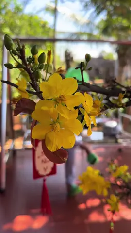 Nghe mà nôn nao quá 🧧 #foryou #tet #tet2026 #xuan2026 