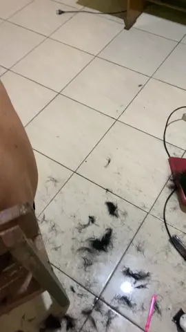enak ketawa lu yang nyukurin, lah gua.. 😂 cukur model cipung😭 #cipung #cukur #capcut #tutorial #pangkasrambut #fyp #fypage #kocak #ngakak #fypシ゚ #haircut #barber #barbershop #lucu #lucu_ngakak 