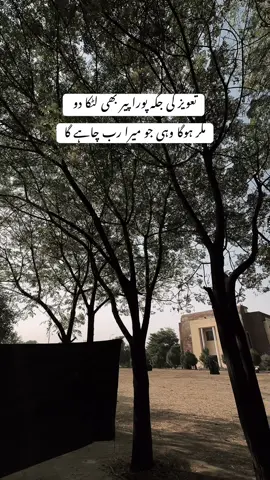 تعویز کی جگہ پورا پیر بھی لٹکا دو  مکر ہوگا وہی جو میرا رب چاہے گا#ahtisham_niazi #shamugraphy @𝙎𝙃𝘼𝙈𝙐🦅 