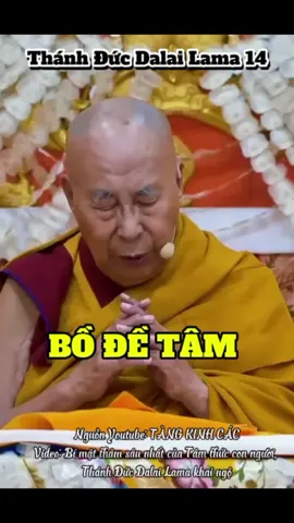 Thánh Đức Dalai Lama Nguồn Youtube: Tàng Kinh Các #dalailama #datlailatma 