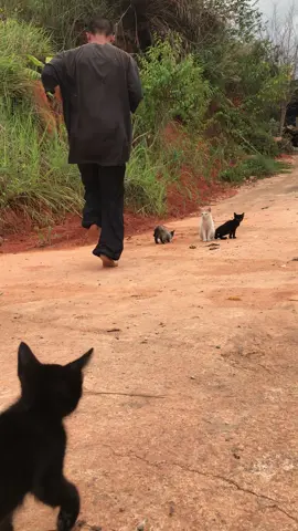 Vì trải qua quá nhiều câu chuyện. 👽🐈‍⬛🐈🦮👣 #tiktoknews #viraltiktok #wildman258 #toprock #chill 