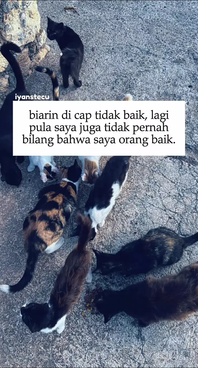 #fyp #iyanstecu #story 