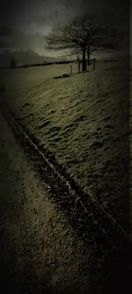 If you’re surrounded by idiots, run, babe, run. Stupidity spreads faster than a rumour on TikTok 💅 Protect your peace, your vibe, and your IQ. #ToxicPeople #MainCharacterEnergy #ProtectYourPeace #HighStandardsOnly #IDontDoStupid 