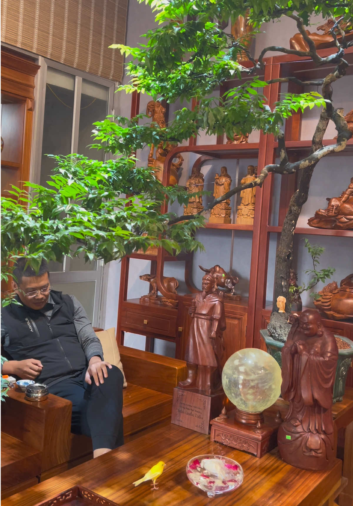 Những chú chim mến khách là vậy 😂😂😂