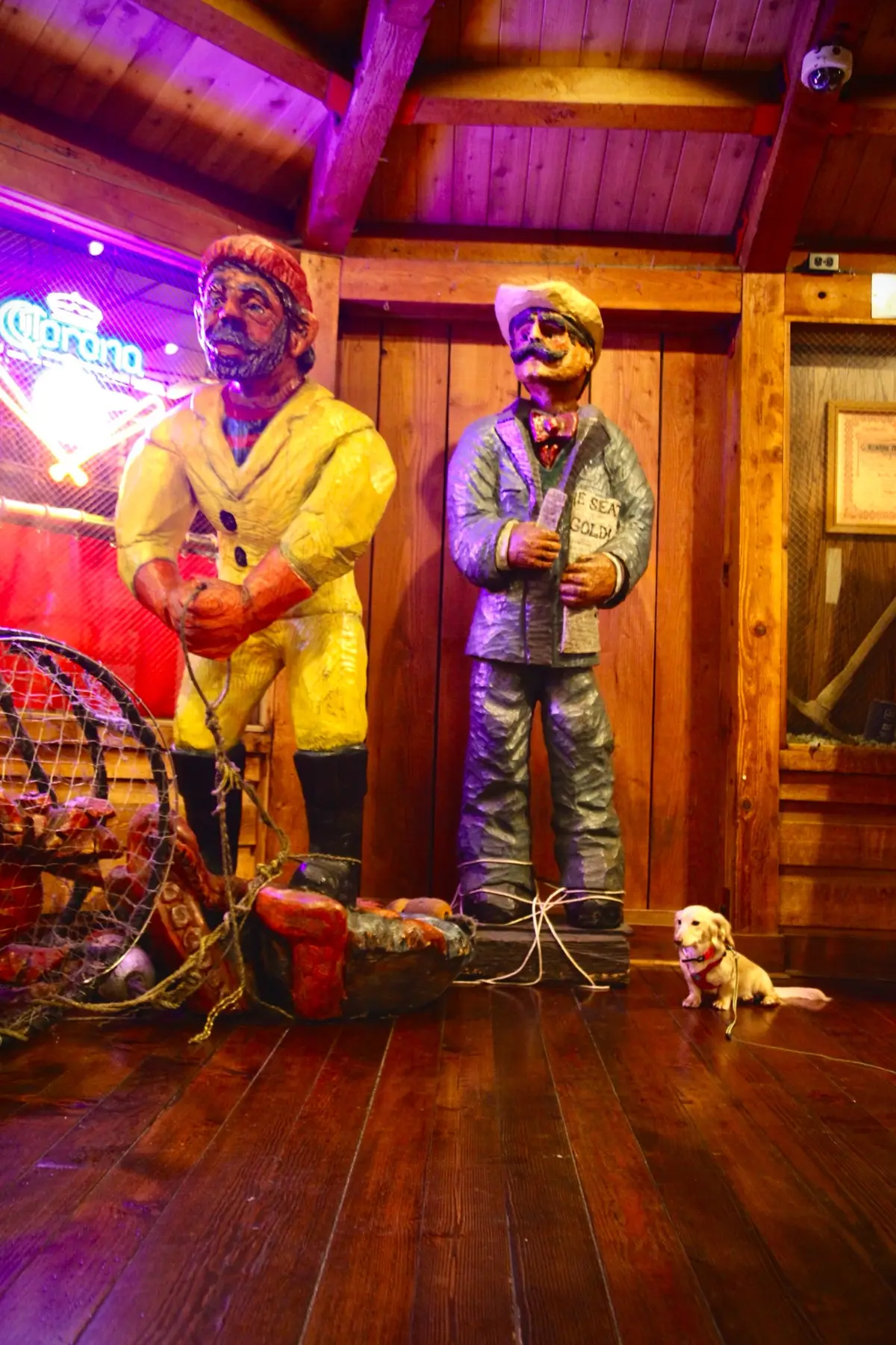 Being a tourist in my own city 🌆  #dog #puppy #dachshund #miniaturedachshund #seattle 