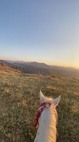 #sırrısüreyyaönder 