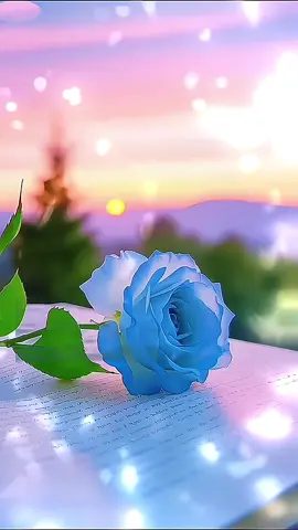 #الصباح_لايتغير #صباح_يشرق_على_قلوبكم_بالخير #الصباح_لا_يتغير_ولكن_ياتي_بشكل_اجمل #صباح_النور #ذكرالله_راحه_للقلوب #والذاكرين_الله_كثيرا_والذاكرات #الاذكار_اليوميه_حافظوا_عليها #الا_بذكر_الله_تطمئن_القلوب #عليه_الصلاة_والسلام #عليه_افضل_الصلاه_والسلام #ان_الله_وملائكته_يصلون_على_النبي_ #صلوا_على_رسول_الله #فذكروني_اذكركم_وشكرو_لي_ولا_تكفرون #اللهم_صبحنا_بما_يسرنا_وكف_عنا_ما_يضرنا #صلوات_الله_عليك_يا_حبيبي_يا_رسول_الله #صلاة_الله_عليه_وسلم #الهي_صل_عني_كل_حين #صلى_علي_النبي_محمد_صلى_الله_عليه_وسلم🤲🤲 #اذكار_الصباح_والمساء #تلاوات_صباحيه #من_قرا_حرفا_من_كتاب_الله