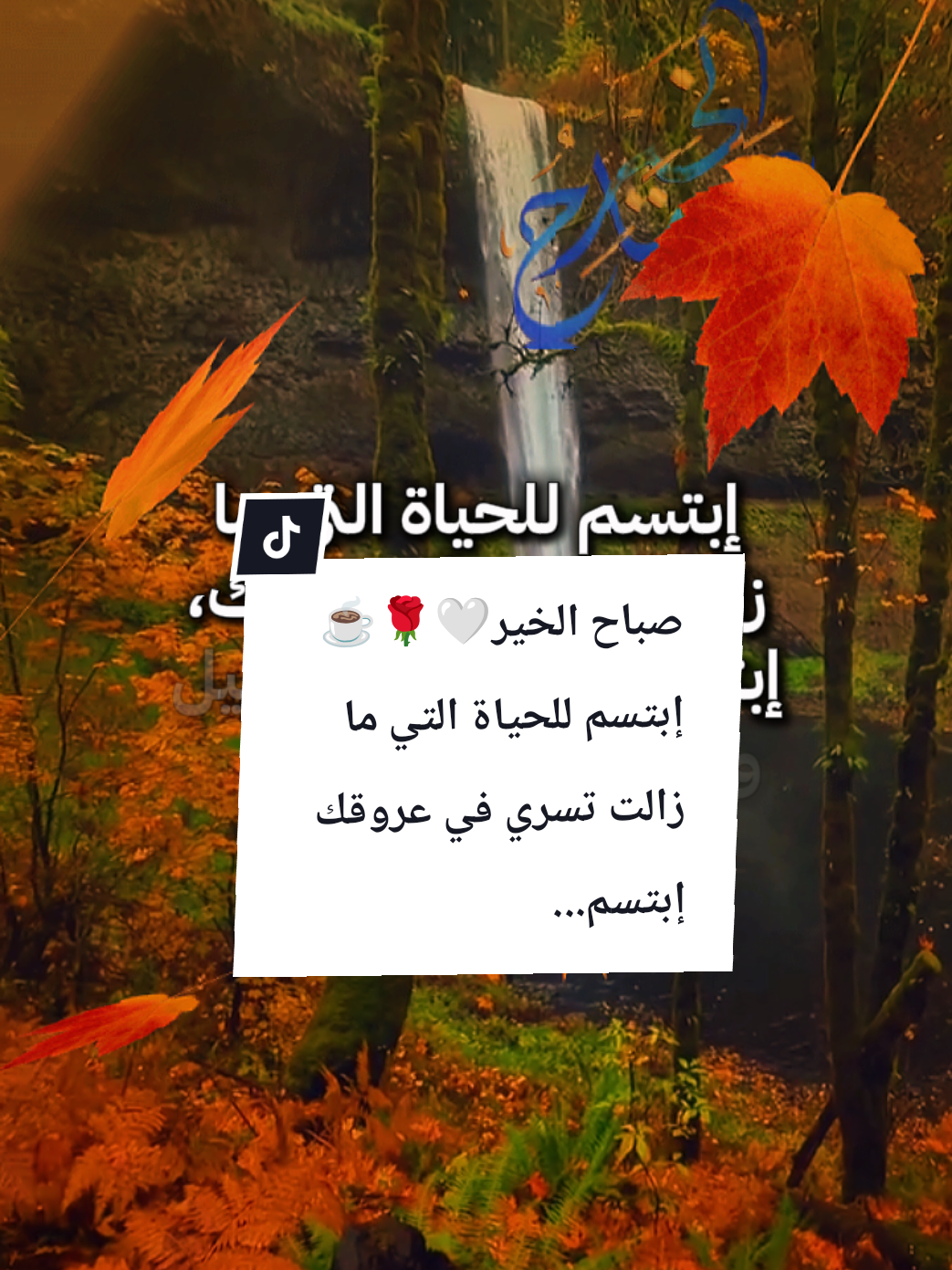 #LIVEFest2025 #souzan396  #صباح_الخير صباح الخير ☕🌹🤍إبتسم للحياة التي ما زالت تسري...