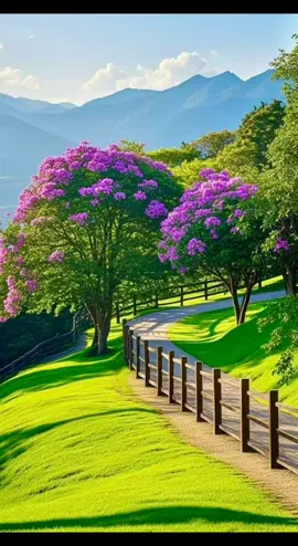 #alabanzascristianas🙌🕊📖 