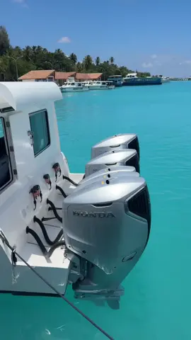 Real King 👑⚡ - owner of Relax 💀 @Real Speed @Can’t Play @𝘼𝙔𝘼𝘼𝙇 @𝐒𝐩𝐞𝐞𝐝𝐛𝐨𝐚𝐭𝐬.𝐌𝐯⨊🇲🇻 @Lucky Alymbe 🇲🇻   @𝐓𝐡𝐚𝐟𝐚𝐚𝐭𝐡𝐮𝐯𝐚𝐚𝐧𝐞 @ތފތ ވނ @𝘽𝙇𝙓𝘾𝙆𝙉 🐉 @YAAN @Akutte 🐉 @𝐀𝐕𝐂𝐈 🐺 @KUROOO @Latheef #fyyyyyyyyyyyyyyyy #real #realking #maldives #fyp 