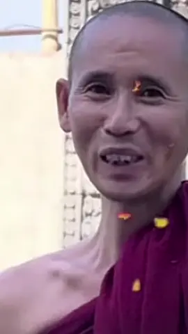 Thầy Minh Tuệ chia sẻ Ngũ Uẩn . #thayminhtuemoinhat #thichminhtue #thayminhtue #minhtue #tinco369 