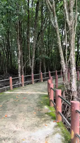 Cuối cùng em cũng ra đi, cuối cùng ta cũng phân ly., chỉ còn lệ ướt hoen mi, cuối cùng em chẳng còn gì và ta cũng chẳng còn gì chỉ còn một mối tình si.. #nhactamtrang #bolero 