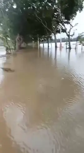 banjir jln arah majingklak