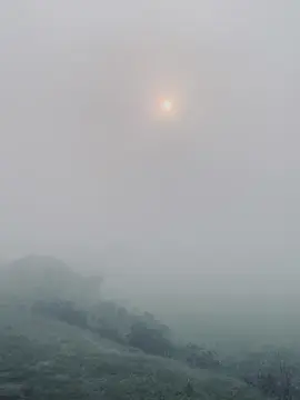 Winter Morning 🥶#rs_raju#foryou #foryoupage #fyp #viral 