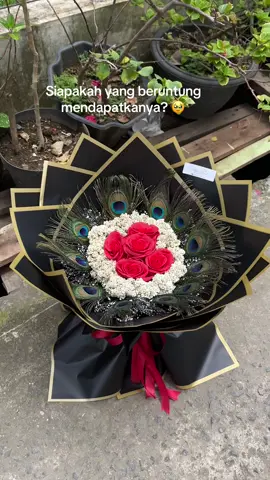 Mawar Edelwise mix Bulu merak combo cantiknya 🥰🥹  #bulumerak #buketbulumerak #buketbulumerakasli#buketbungaedelweiss #buketbunga #buketcantik 