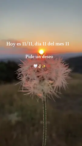 Pide un deseo 11/11 🤞🏻❤️‍🩹. . . #1111 #parati #frases #foryourpage #dance 