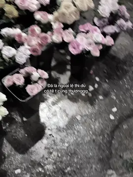 #huatuan_08 #_quan_1108🧸 