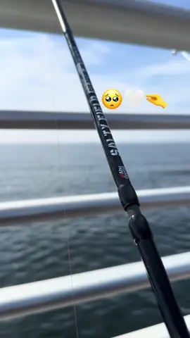 🥺🤍🤍🤍🤏#mancing #fyp #shimano #ikan 