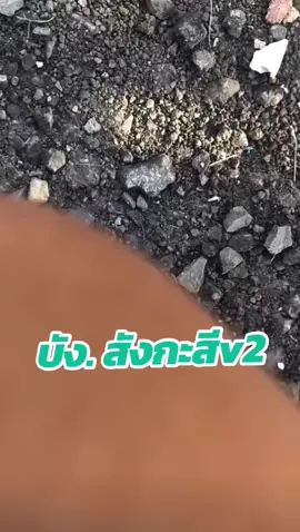 #ขึ้นฟีด #ของมันต้องมี #ไทยประดิษ #อะไหล่รถบรรทุก #อะไหล่แต่งรถบรรทุก 