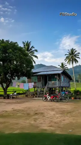 Macamni pon dah cukup bahagia 😇 #kampungku #kampunghalaman #suasanakampung #sawahpadi #sawah 