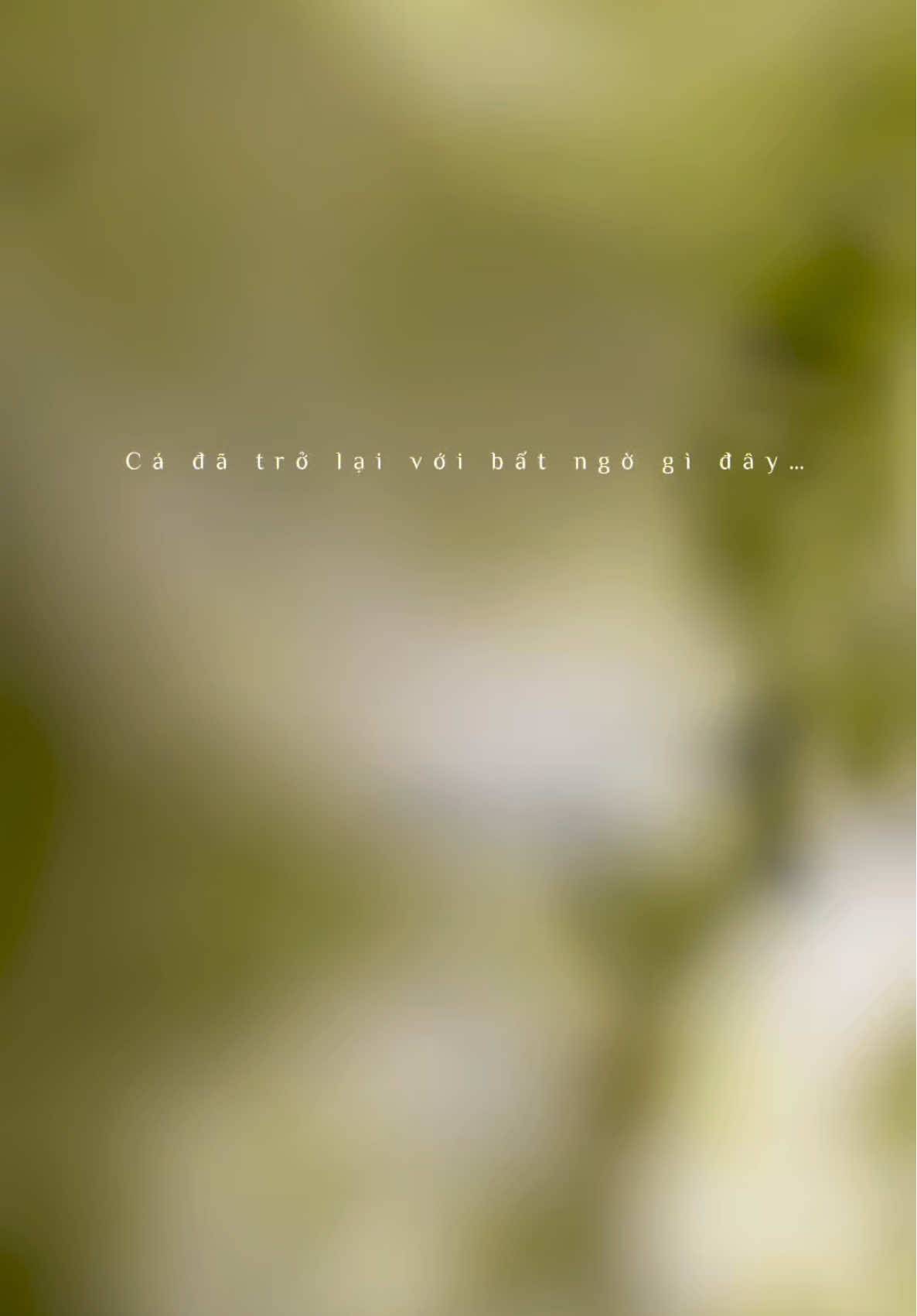 Chào người - thương, Cá đã trở lại nè 🐠💚