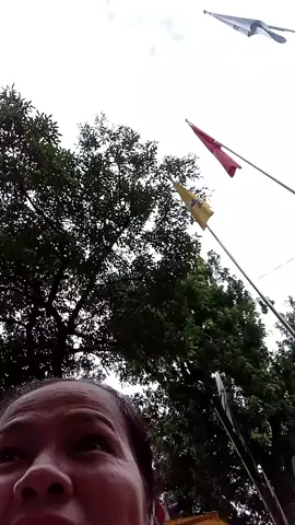 chồng hoa hậu Đỗ Mỹ Linh 